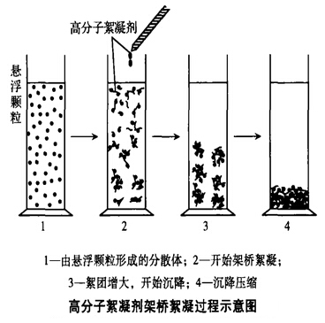 架橋絮凝過(guò)程